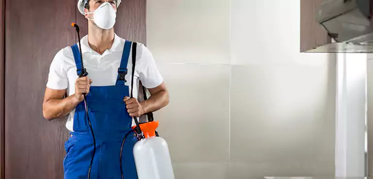 Why Elwood Homeowners Choose Us When Pests Make Selling Difficult