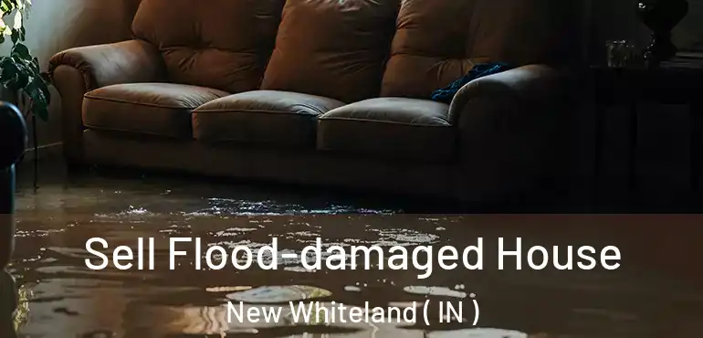  Sell Flood-damaged House New Whiteland ( IN )