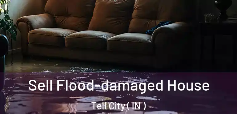  Sell Flood-damaged House Tell City ( IN )