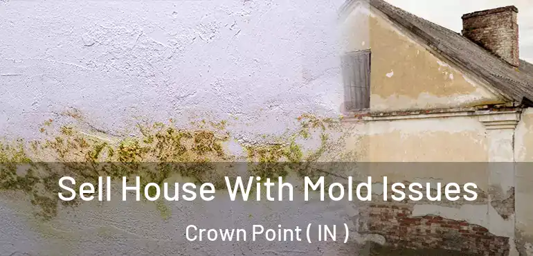  Sell House With Mold Issues Crown Point ( IN )