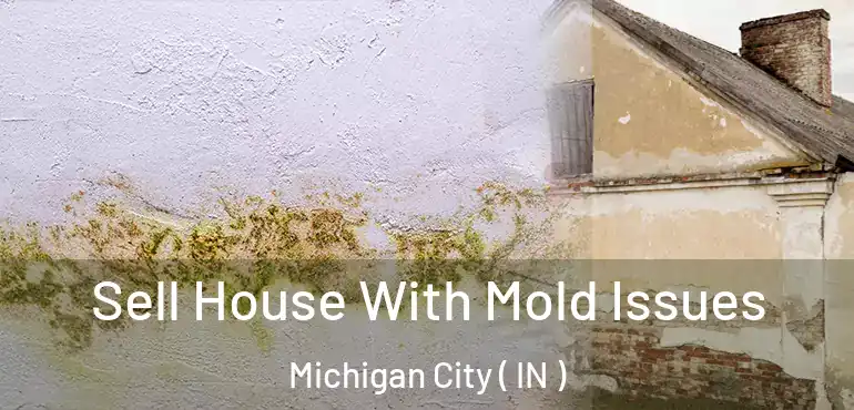  Sell House With Mold Issues Michigan City ( IN )