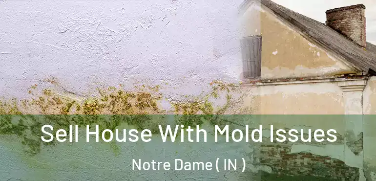  Sell House With Mold Issues Notre Dame ( IN )