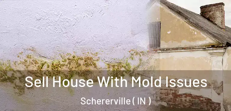  Sell House With Mold Issues Schererville ( IN )