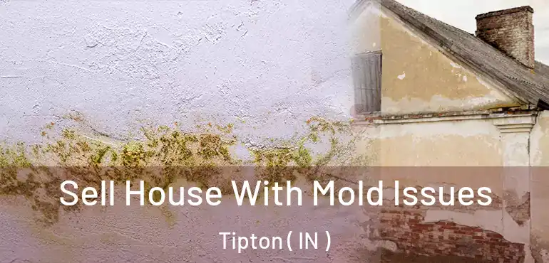  Sell House With Mold Issues Tipton ( IN )