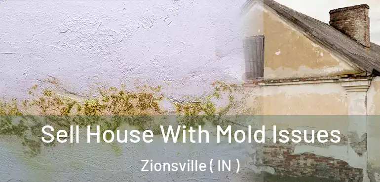  Sell House With Mold Issues Zionsville ( IN )